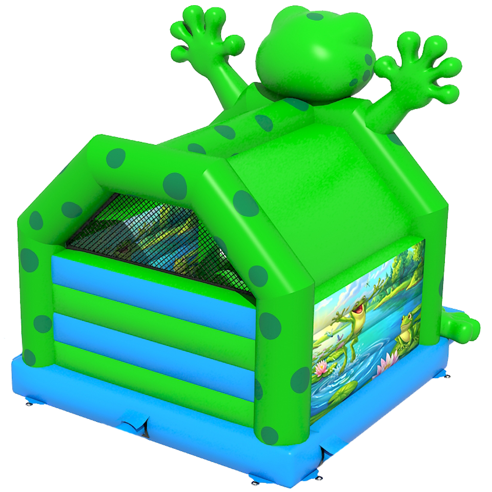 Frog Bouncy Castle