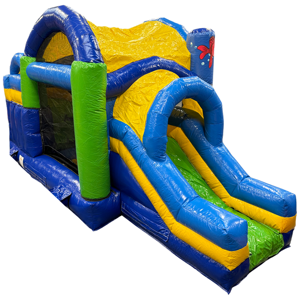 Inflatable with 2 Slides Sea