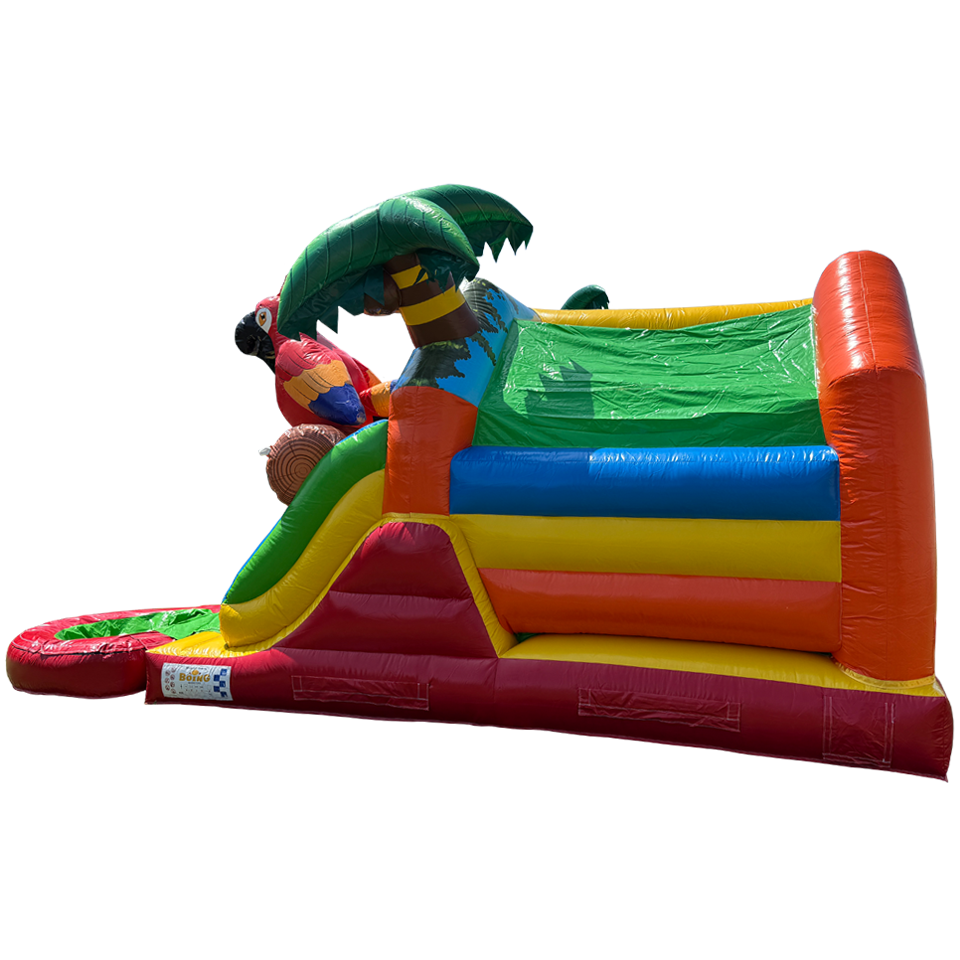 Combo Midi 2 Slides Parrot Inflatable