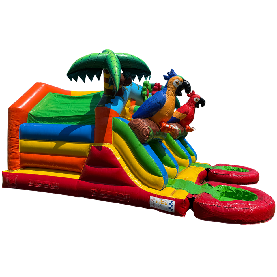 Combo Midi 2 Slides Parrot Inflatable
