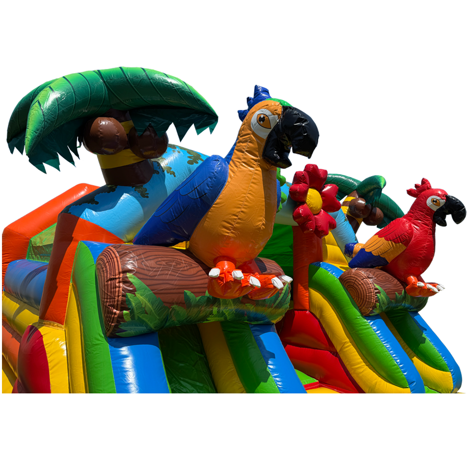 Combo Midi 2 Slides Parrot Inflatable