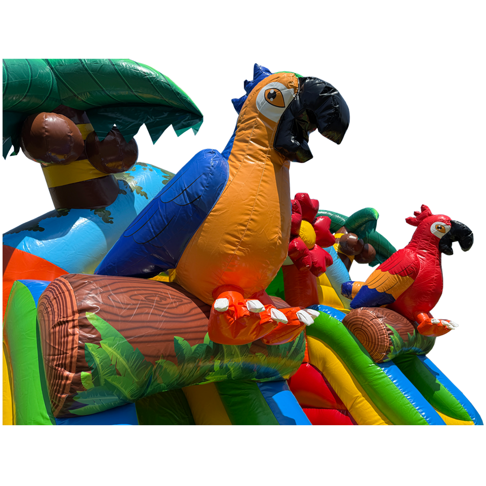Combo Midi 2 Slides Parrot Inflatable