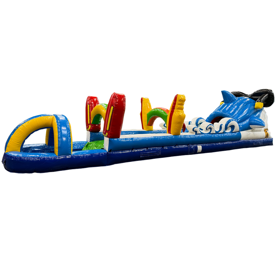 Belly Slide Surfing Shark