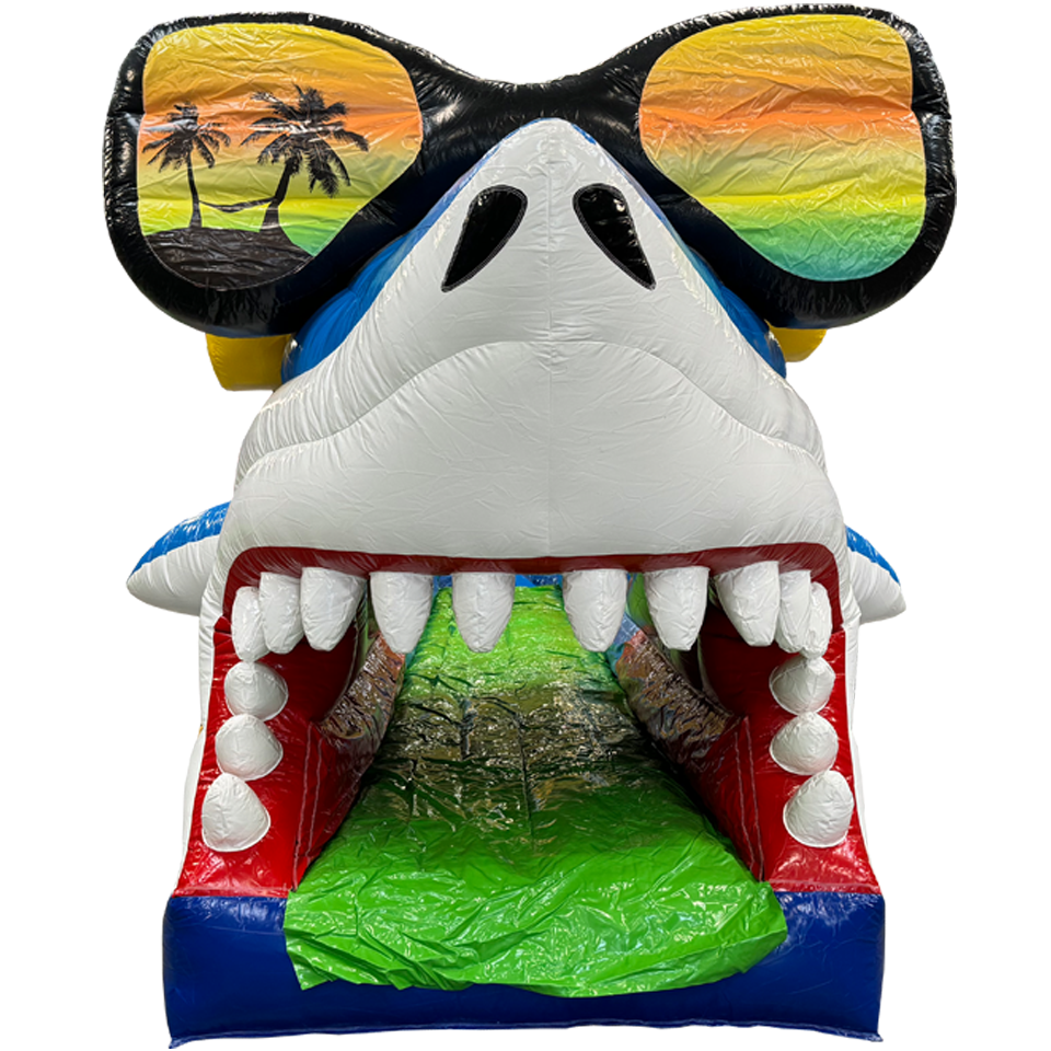 Belly Slide Surfing Shark