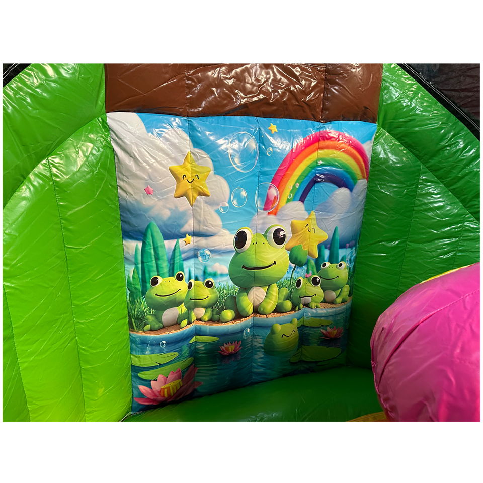 Twist N Slide Frog Inflatable
