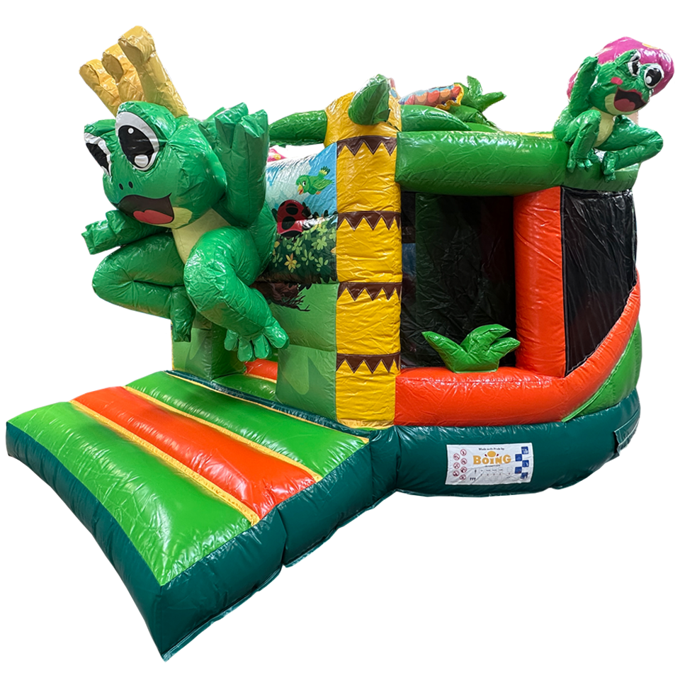 Twist N Slide Frog Inflatable