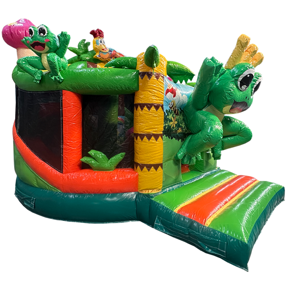 Twist N Slide Frog Inflatable