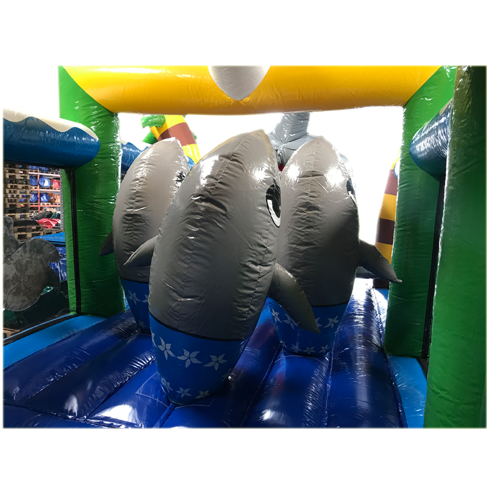 2 Section Sharks Run
