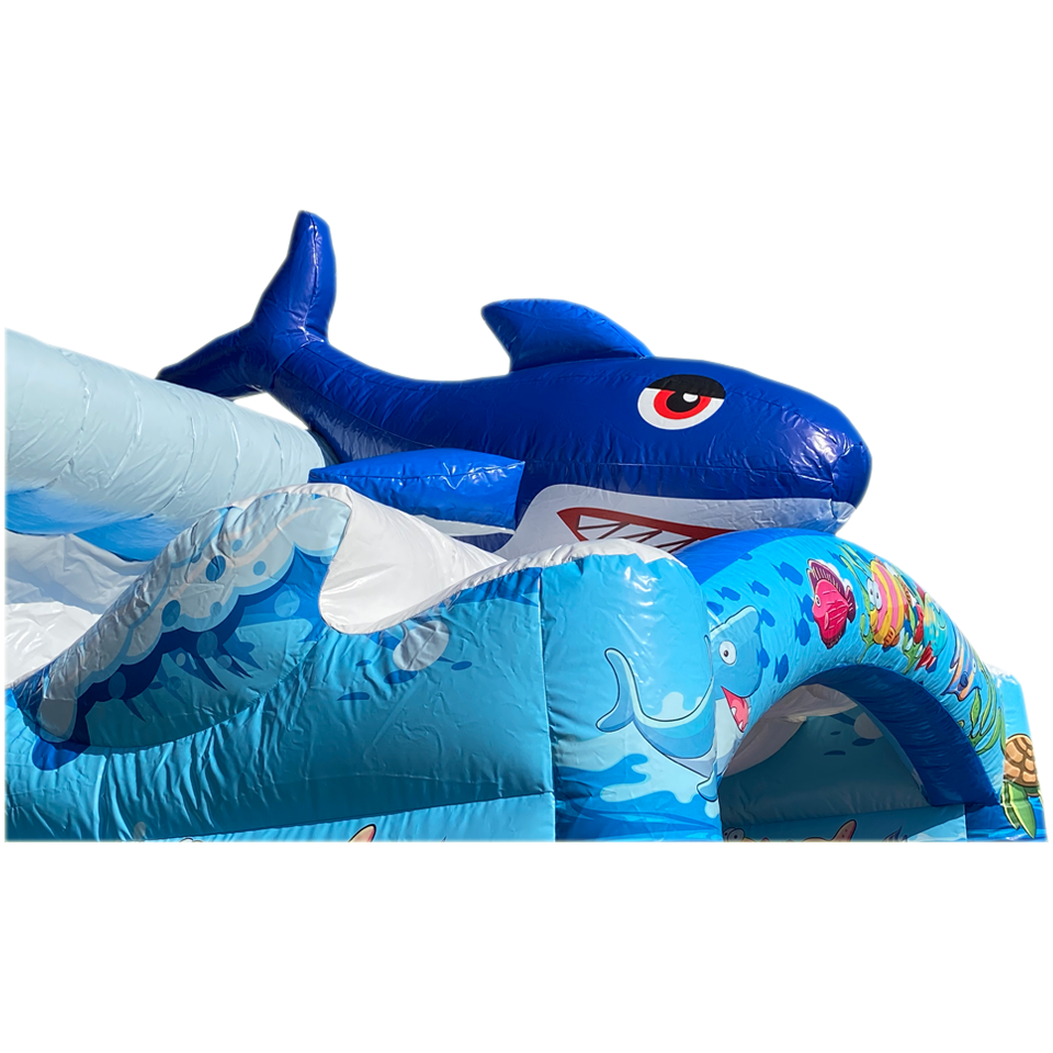 Haai