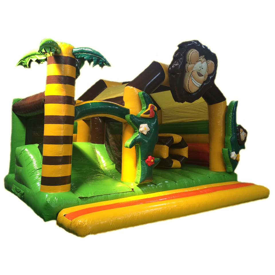Combo Maxi Lion