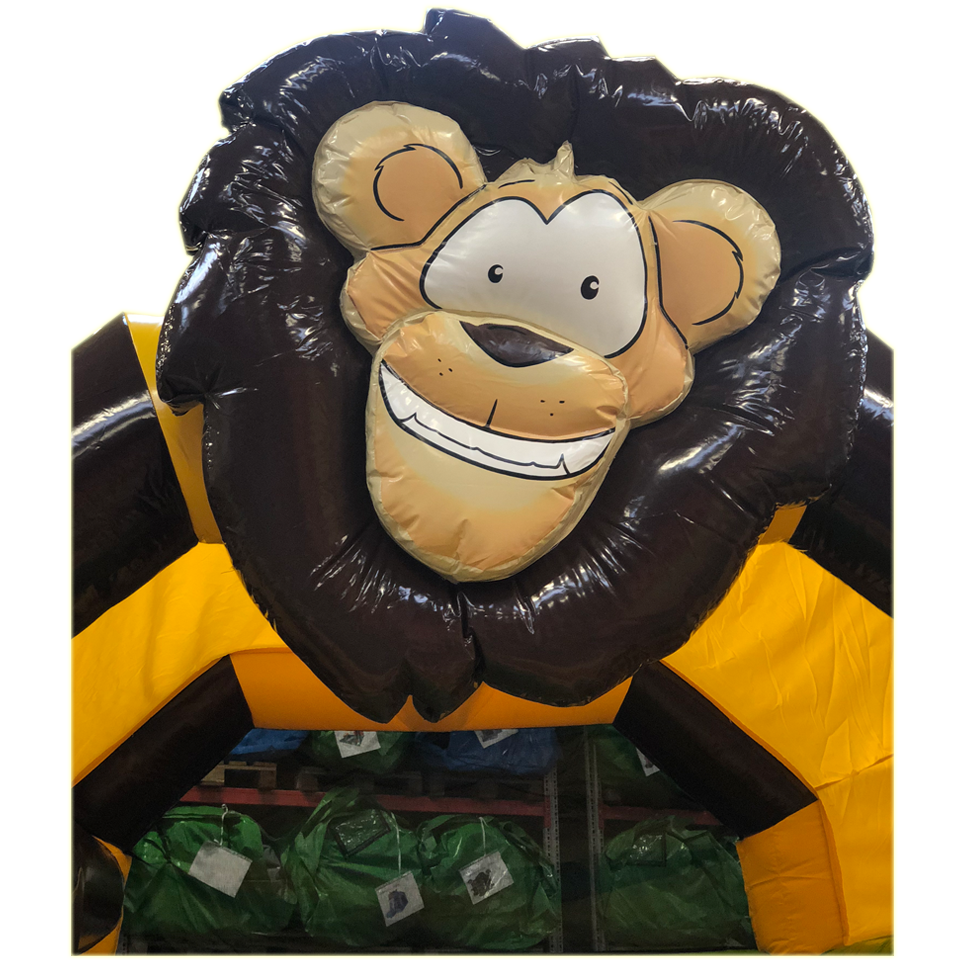 Combo Maxi Lion