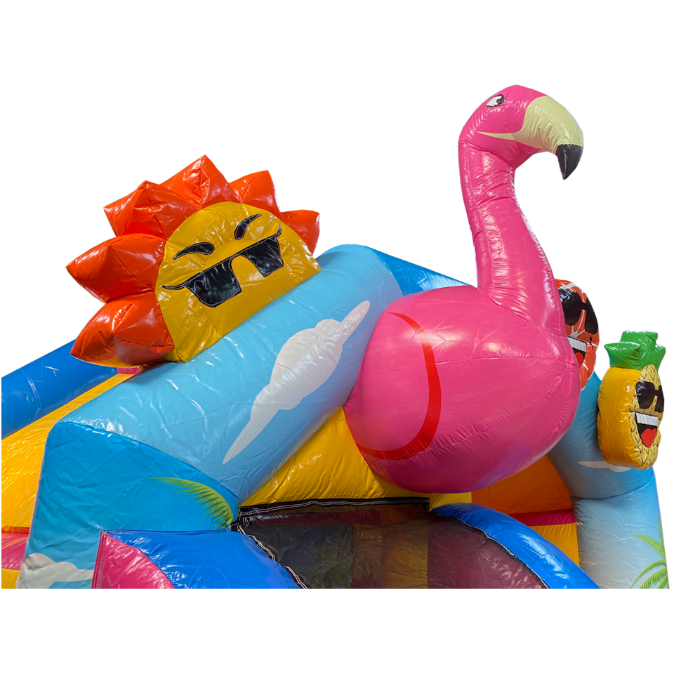 Close up flamingo en zon
