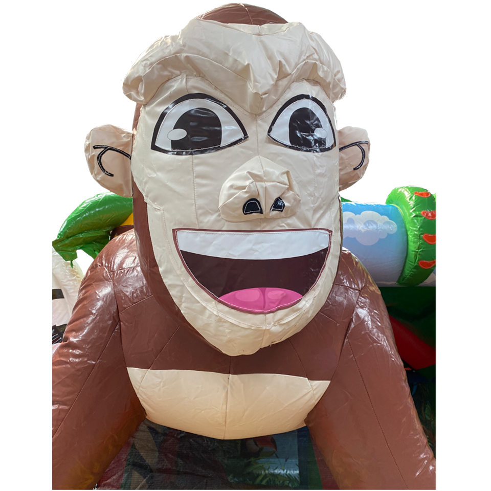 Close up gorilla hoofd