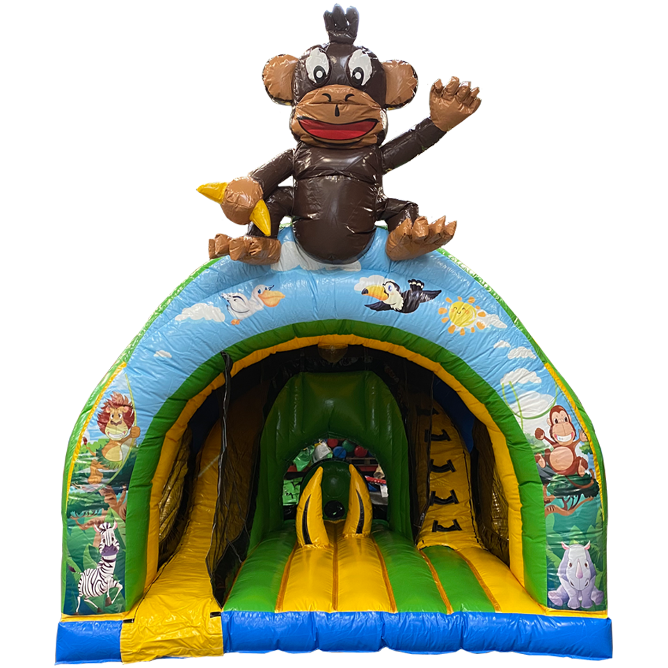 Curve Bounce N Slide Monkey