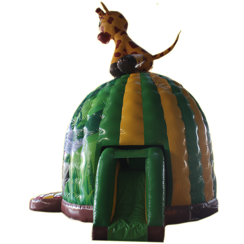 Disco Midi Giraffe with Slide