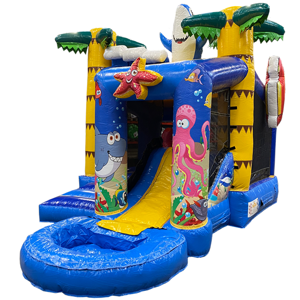Jump N Slide Zee 