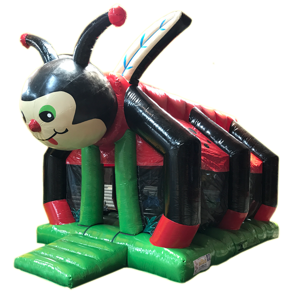 Insect Ladybug