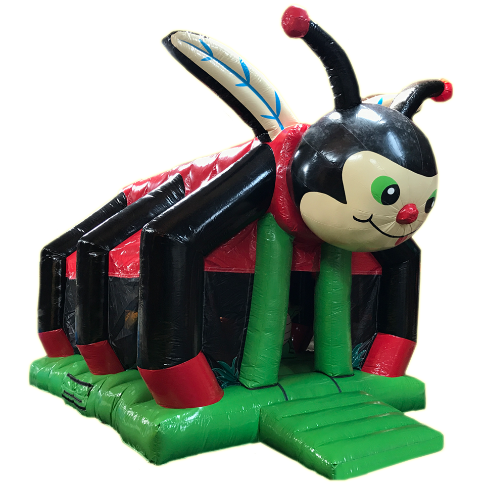 Insect Ladybug