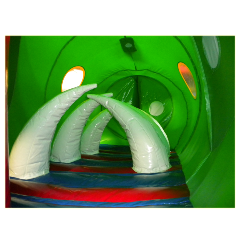 Alligator Tunnel